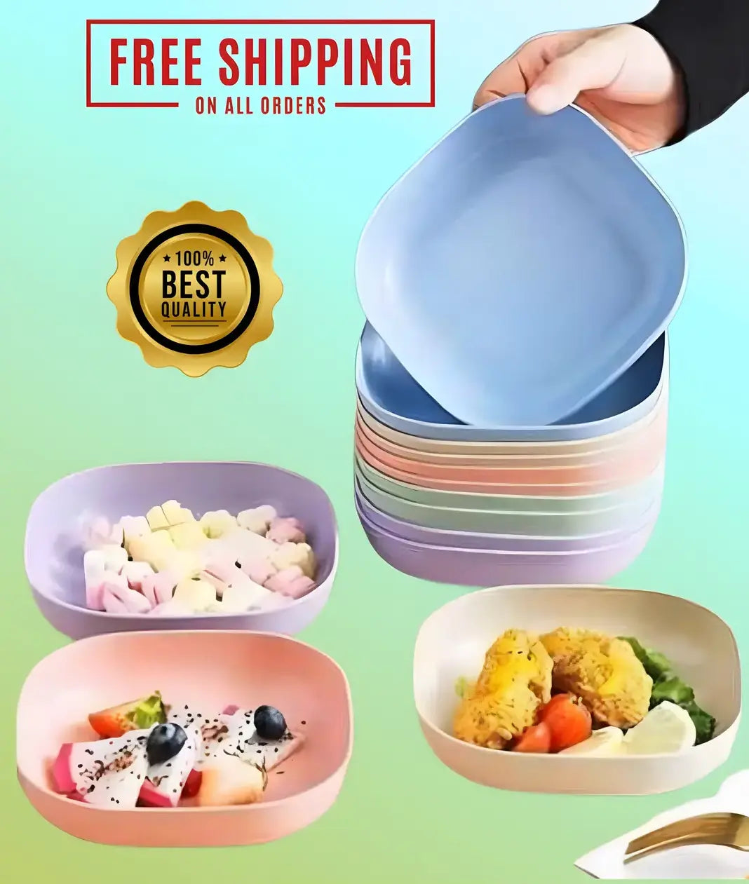 10Pcs Premium Multicolor Plates Set With Holder