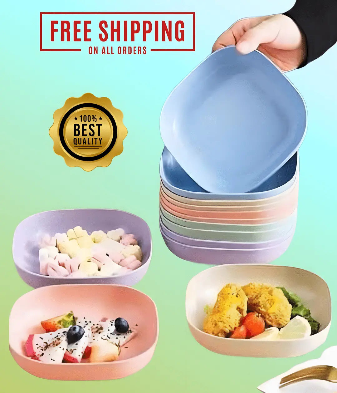 10Pcs Premium Multicolor Plates Set With Holder